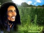 Robert Nesta Marley alias Bob Marley